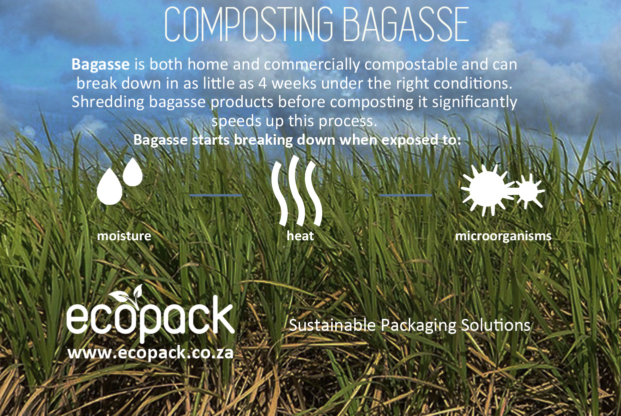 How to Package Your Products With Sugar Cane — LeKAC