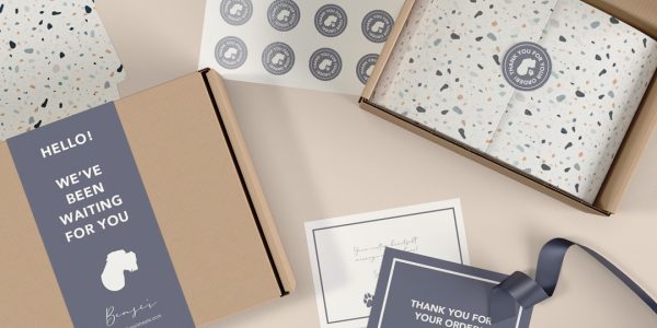 collection of e-commerce packaging options
