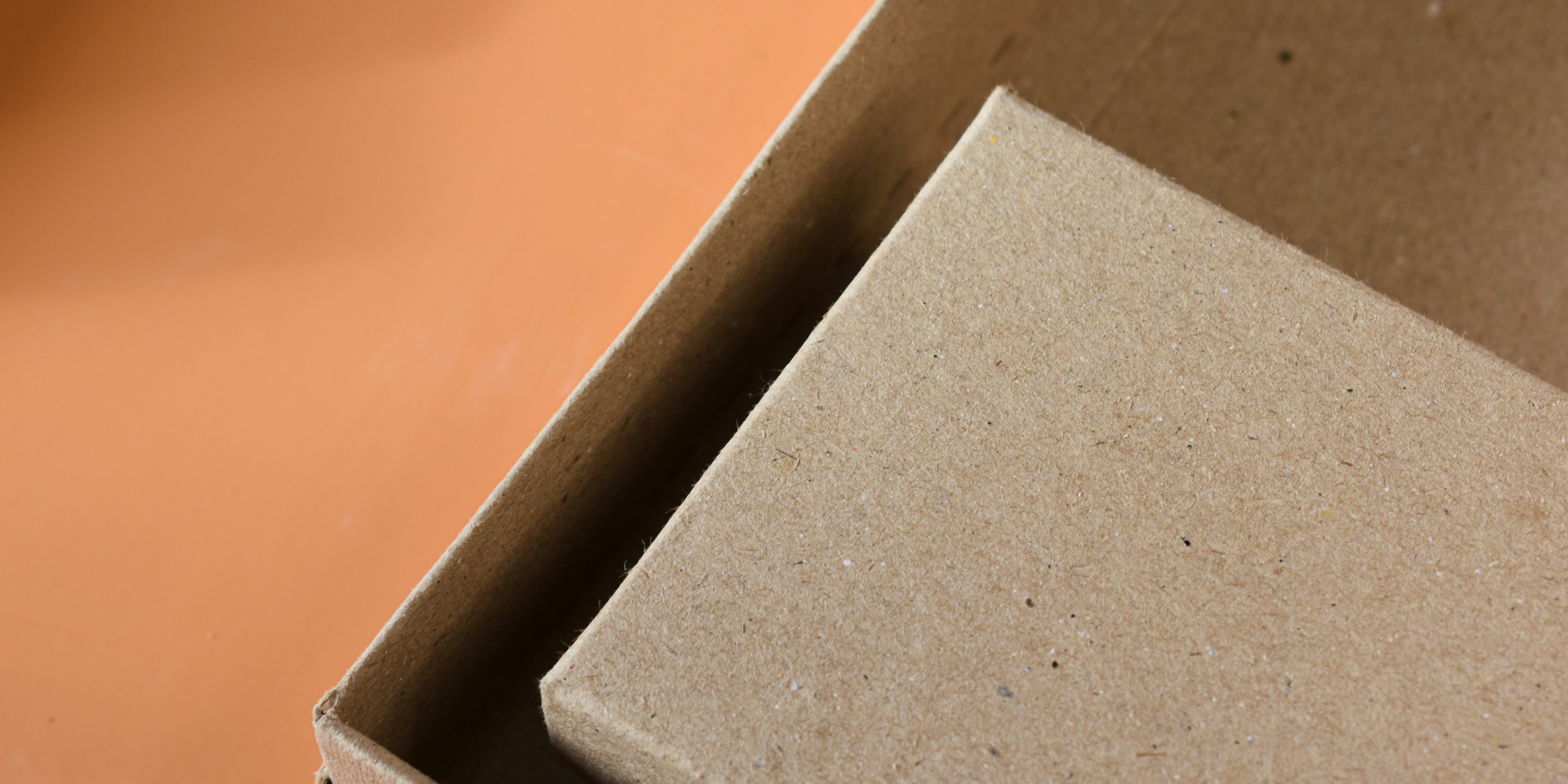 harper-sunday-fYH4ShNxuQ8-unsplash